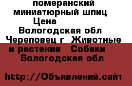 померанский миниатюрный шпиц › Цена ­ 12 000 - Вологодская обл., Череповец г. Животные и растения » Собаки   . Вологодская обл.